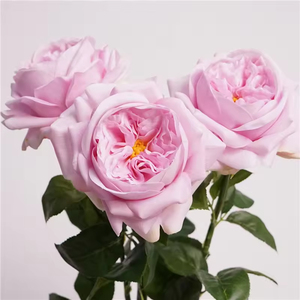 Nuevas Rosas Artificiales Juliet Real Touch, Rosas de Color Rosa Intenso para Arreglos Florales, Tallos de Rosa de Látex - Product Image 6