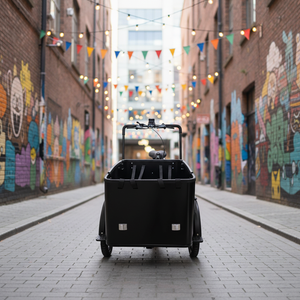 Vélo cargo électrique à 3 roues, entrepôt européen, Lastenrad Bakfiets néerlandais pour usage familial quotidien - Product Image 5