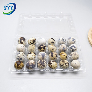 Chất Lượng Cao 24 Lỗ Pet Rõ Ràng Nhựa Vỉ Chim Cút Trứng Bao Bì Hộp Container Dùng Một Lần Chim Cút Khay Trứng - Product Image 2