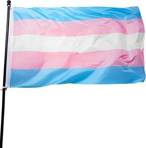 Оптовая продажа, радужный флаг 3x5 футов, гей-лесбиянка, лесбиянка, мир, ЛГБТ, печатный баннер - Product Image 6