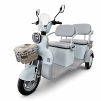 Motor Diferensial 650W Sepeda Motor Listrik Roda Tiga Dengan As Roda Belakang Terpisah 130 Baru Grosir Ekspor Kendaraan H9 Pro