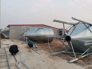 Hiện đại lớn và quy mô nhỏ chuồng lợn thông gió và nhà ở Giải pháp điều kiện mới động vật Lồng cho khỏe mạnh lợn - Product Image 4