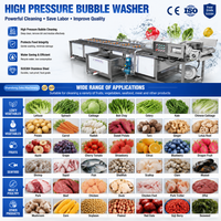 Automatische industriële luchtbelwasmachine voor fruit- en groenteverwerkingsfabrieken, roestvrijstalen wasmachine