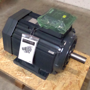 Motor Squirrel M3AA 250brand 2 3GAA251033-ADG NOV - Product Image 2