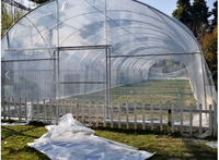 Système d'agriculture verticale hydroponique Smart Farm Grow, petite ferme en conteneur maritime, serre recouverte de film PE, structure stable