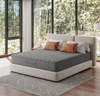 Magnifique matelas à ressorts Bonnel double, roulé et compressé, avec surmatelas en mousse standard, idéal pour chambre ou hôpital