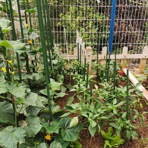 Bâton de support pour plantes grimpantes en métal avec revêtement PE - Product Image 4