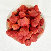 Fraise lyophilisée à prix d'usine couverte