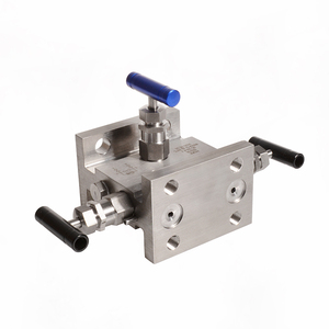 Acciaio inossidabile SS316 doppia flangia 3 valvole di integrazione collettori 6000psi - Product Image 5