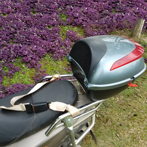 Ceinture de sécurité pour enfant pour scooter électrique, sangles de bagages pour siège arrière, harnais réglable rouge - Product Image 2