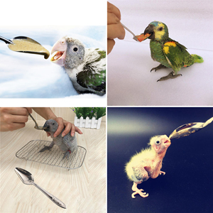 Jeringa <span class=keywords><strong>de</strong></span> Alimentación <span class=keywords><strong>para</strong></span> Aves <span class=keywords><strong>de</strong></span> <span class=keywords><strong>Corral</strong></span> y Mascotas <span class=keywords><strong>de</strong></span> 60 ml/100 ml/150 ml, Jeringa <span class=keywords><strong>de</strong></span> Alimentación <span class=keywords><strong>para</strong></span> Pollitos, Aves Bebés, Accesorios <span class=keywords><strong>para</strong></span> la Cría <span class=keywords><strong>de</strong></span> Animales Inmaduros - Product Image 6
