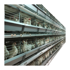 Kolay yumurta koleksiyonu için Bangchi h-tipi pil kafesi düşük bakım uzun ömürlü verimli hayvan bakımı için yeni 1 yıl garanti - Product Image 3