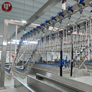 Ligne d'abattage de poulets automatisée compacte et clé en main la plus vendue pour <span class=keywords><strong>abattoir</strong></span> serbe avec une capacité de 1000 poulets par heure dans un conteneur de 40 pieds - Product Image 6