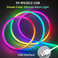 Bande LED néon RVB adressable haute luminosité 5V avec connecteur USB, silicone, indice de protection IP67 pour la décoration intérieure