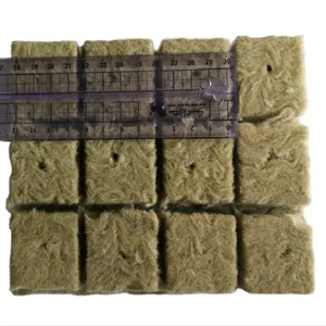 Zaad En Snijden Voortplanting Rock Wol Voor Zaailing Clone Cube Tray