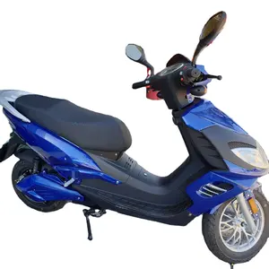 Vente en gros moto électrique intelligente Scooter électrique avec batterie au Lithium économique longue durée de vie de la batterie longue portée