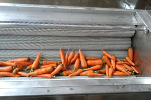 Máquina Peladora de Frutas y Verduras Comercial de Acero Inoxidable 304, Cepillo de Fácil Limpieza para Pera, Raíz de Loto, Ñame y Otras Raíces/Frutas - Product Image 4