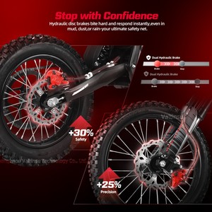 Motocicleta Eléctrica Todoterreno China 60v5600w con Autonomía de 53 Millas y Batería de 20.8ah, Diseñada para Conductores Mayores de 18 Años - Product Image 6