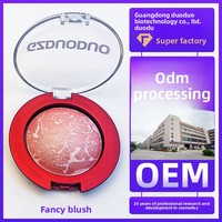 Fabricant OEM/ODM transfrontalier de palettes tout-en-un blush et illuminateur, taille standard, Chine, 2,8g Poids Net ; Maquillage personnalisé