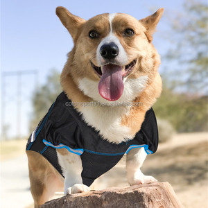 Guangzhou venta al por mayor verano gato cachorro fútbol <span class=keywords><strong>Jersey</strong></span> perrito trajes perro moda ropa para mascotas - Product Image 2
