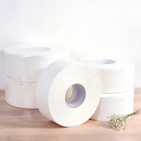 Rouleau géant de papier toilette écologique jetable de 710g, gaufré, ultra doux, 2 plis, en pâte de bois mélangée, prix abordable, vente en gros
