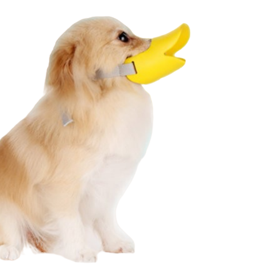 Оптовая продажа, Цветной силиконовый намордник для средней собаки с защитой от укусов и лая