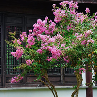 Arbre artificiel de myrte crêpe, plante artificielle de Lagerstroemia Indica, décoration de jardin extérieur, hôtel, aménagement paysager