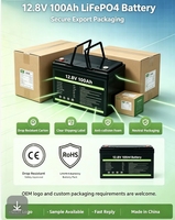Paket Baterai Lithium Iron Phosphate 12.8V yang Dimodifikasi dengan Timbal untuk Sistem Tenaga Surya LifePO4