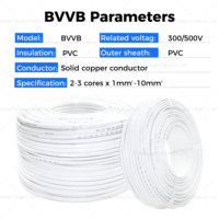 Kabel Kabel Rumah Terbaik BVVB Flat Solid Copper PVC Berinsulasi 2 Inti 1.5 2.5 4.0 6.0 Penutup Putih Merah/Biru Standar IEC Terdaftar