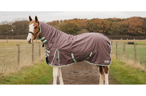 Couverture d'équitation professionnelle personnalisée et durable, imperméable, pour l'hiver, avec rembourrage en plumes, tissu premium, pour le dressage, utilisable en machine. - Product Image 1