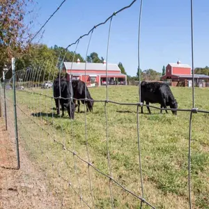 6 Foot Hinge Joint Farm Guard Fencing Field Price High Quality Goat Farming/Field Fence For Sheep