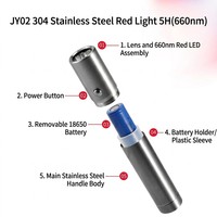 Lampe torche de luminothérapie rouge personnalisée en gros avec logo, 660nm 850nm, infrarouge portable pour soins de beauté, rechargeable, CE RoHS OEM ODM
