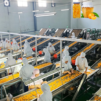 ENAK Goede Kwaliteit Geblikte Fruit Sinaasappelsegmenten Gele Perzik Appel Lychee Productielijn Machine