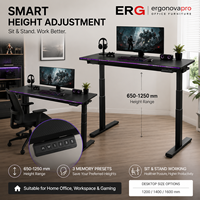 Bureau debout électrique avec éclairage RGB, hauteur réglable, bureau de travail avec plateau en fibre de carbone, contrôle par mémoire