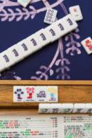 Tuiles de Mahjong de Luxe Officieusement Licenciées TCU Horned Frogs, en Acrylique Premium Écologique, Ensemble de Mahjong Américain pour Soirées de Jeu des Anciens Étudiants