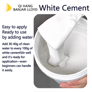 Cemento Portland Blanco de Alta Calidad, Buena Marca, Diseño Moderno, Resistente a los Ácidos y de Baja Emisión de Calor - Product Image 2