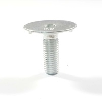 WXSNY M10 Hex Socket En Acier Au Carbone Zingué DIN15237 Seau Ascenseur Boulon Boulons De Ceinture