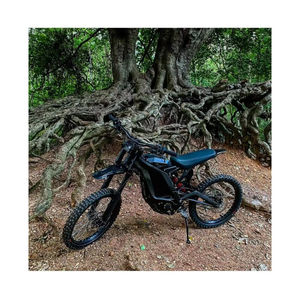 Motocicleta Eléctrica Urbana Ligera Modelo X, Alta Velocidad, Eficiente, Cómoda, Control Inteligente, Funcionamiento Silencioso, Motor de 8000W - Product Image 5