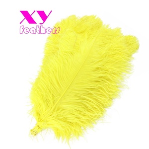 40-45 cm <span class=keywords><strong>Plumes</strong></span> d'autruche <span class=keywords><strong>Plumes</strong></span> d'autruche noires Décoration bon marché <span class=keywords><strong>Plumes</strong></span> d'autruche <span class=keywords><strong>blanches</strong></span> blanchies - Product Image 4