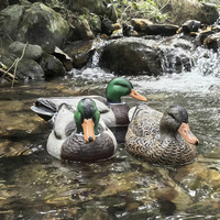 Décoy flottant en plastique composite EVA pour canard colvert et oie, idéal pour la chasse en extérieur et la décoration de bassins/lacs de jardin