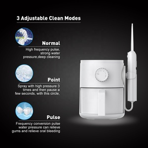 Family Type <span class=keywords><strong>Dental</strong></span> Water Flosser raccoglie irrigatore orale acqua Flosser Ipx7 strumento da scrivania