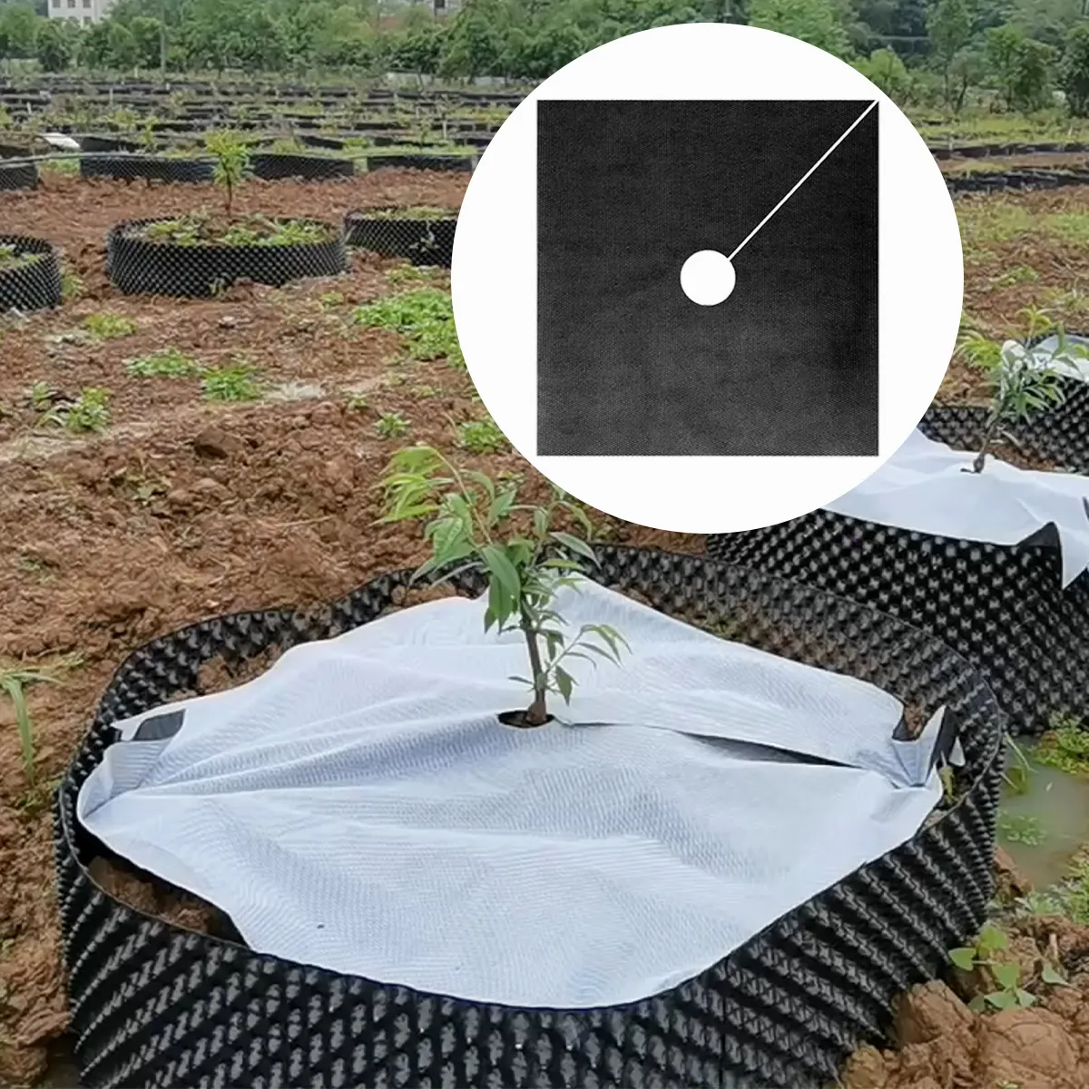1.6m x 1.6m trắng đen che phủ mặt đất kiểm soát mulch phim cho cây ăn quả chất lượng cao cỏ dại Mat vải chống cỏ và cỏ dại vải