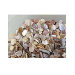Éclats de coquillages colorés, naturels, légers, vente en gros, parfaits pour la décoration de mariage, les aquariums, les graviers de bateau et l'aménagement paysager - Product Image 3