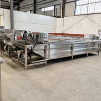 Luchtbel Bladgroenten Automatische Wasmachine Groente-en Schone Productie Lijn Plantaardige Wasmachine Industrie