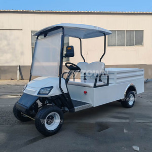 Carrito de Golf Eléctrico de 2 Plazas con Caja de Carga, Vehículo Utilitario con Batería de Litio de 48V, Buggy para Granja, Resort o Parque, Venta Caliente 2026 - Product Image 2