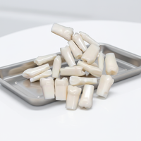 Typodont Individual con 32 Dientes Atornillables de Repuesto, Modelo Anatómico de PVC, Herramienta de Práctica Médica y Científica