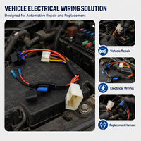 Arnés de cableado automotriz, conjunto de cables personalizado con portafusibles, conector, terminal, reparación eléctrica de vehículos