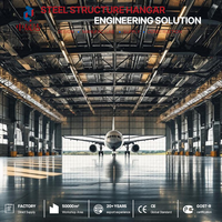 Hangar d'avion préfabriqué en acier au design moderne, structure en acier portable à assemblage facile pour le stationnement d'avions à portée libre