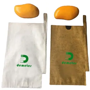 new design mango fresh fruit protection grow cover bag