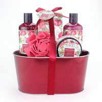 Coffret Cadeau de Luxe Hailida pour le Bain, Personnalisé, Parfum Grenade, Panier en Fil Métallique, Huiles Essentielles, Vente Chaude OEM, Fête des Mères
